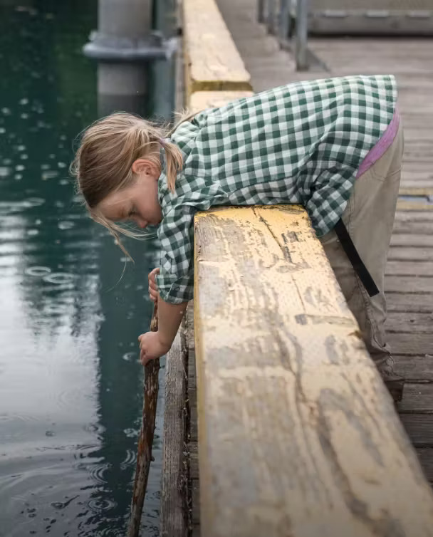 Stio Sales Shop 27 Stio Sales Shop -Stio Sales Shop 344d44bd 46bd 4917 aa1f 4afd69ce460b 240301 Cat Bucket Kids